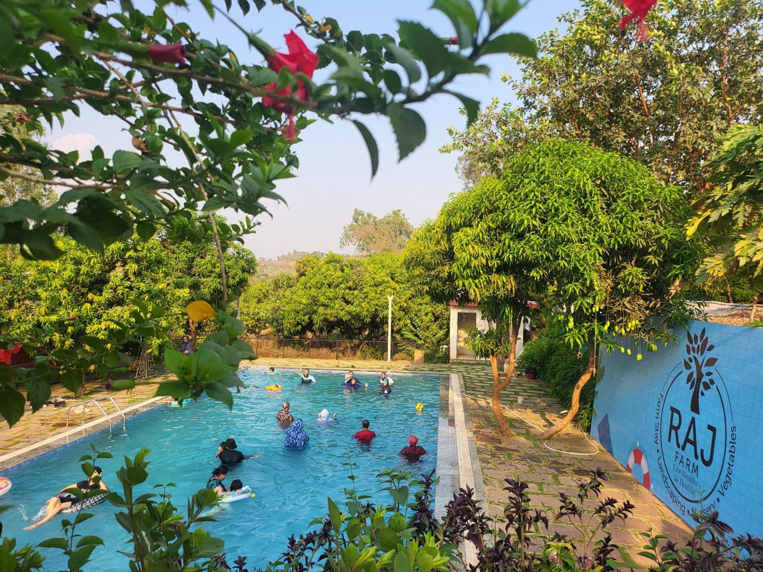 Raj Farm swimming pool