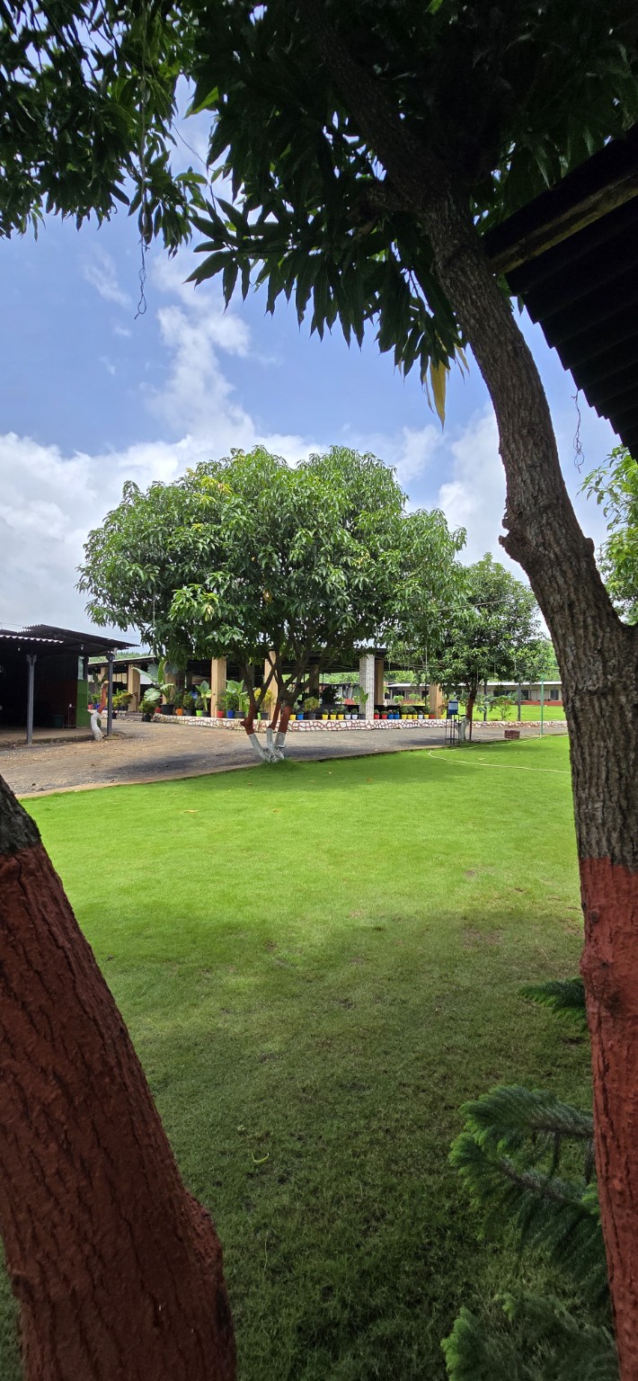 Green lawn and mature trees at Raj Farm Stay Resort
